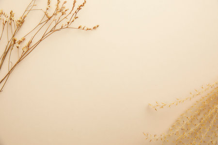 romantic flowers on simple backgroundの写真素材