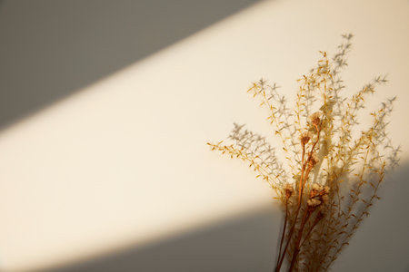 romantic flowers on simple backgroundの写真素材