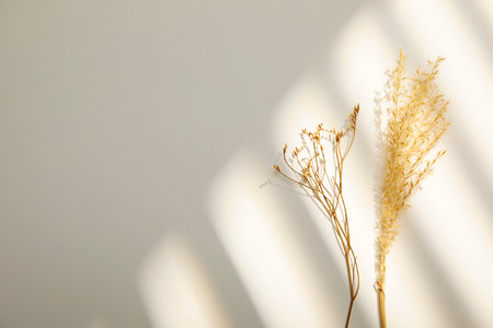 romantic flowers on simple backgroundの写真素材