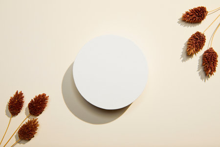 romantic flowers on simple backgroundの写真素材