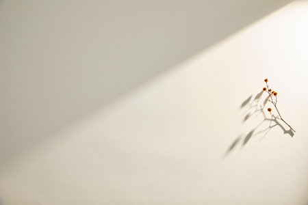 romantic flowers on simple backgroundの写真素材