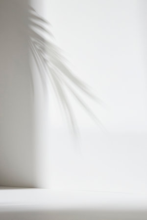 tropical background with leaves shadowsの写真素材