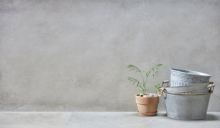 olive tree, basket in vintage gray concrete backgroundの写真素材