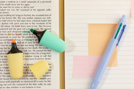 school supplies and diary concept, books and notebook