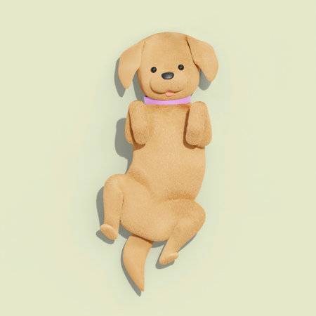 Golden Retriever showing his bellyの写真素材