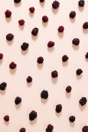 regularly arranged raspberriesの写真素材