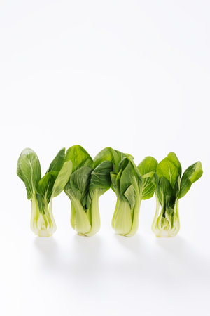 a green bok choy lined up against a white backgroundの写真素材