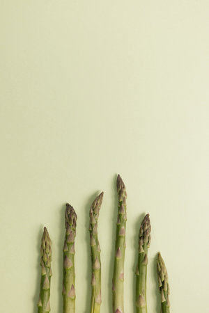 Asparagus arranged in a row on a light green backgroundの写真素材