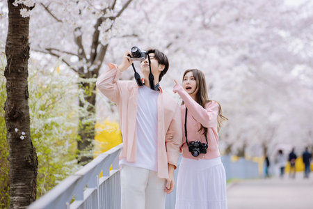 A friendly couple enjoying a date on a street filled with cherry blossomsの写真素材