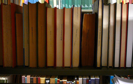 A shelf of books organized at a library