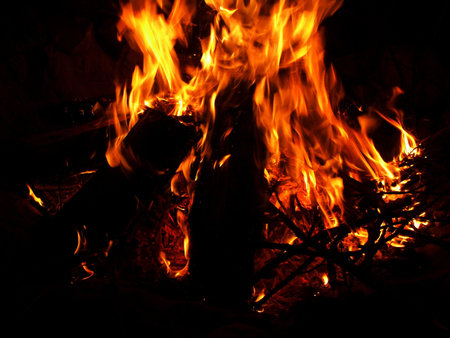 Closeup of camp fire or bonfire built in evening