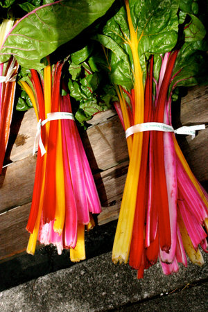 Colorful Organic Chard at Farmer's Marketの写真素材