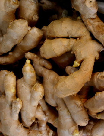 Fresh Ginger Root at Asian Market