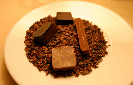 Assortment of gourmet dark and milk chocolate truffles