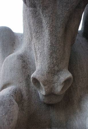 Figure Study: Detail of Outdoor Stone Sculpture of Horse Head Formの写真素材