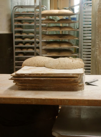 Loaves of Dough in Commercial Gourmet Bread Bakery