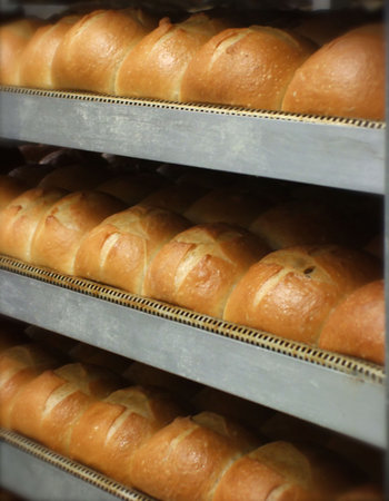 Trays of Fresh Baked Dinner Rolls in Bakeryの写真素材