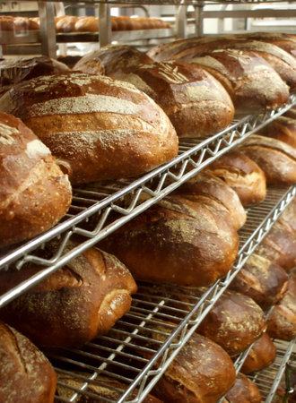 Shelves of Fresh Baked Artisinal Bread in Bakery