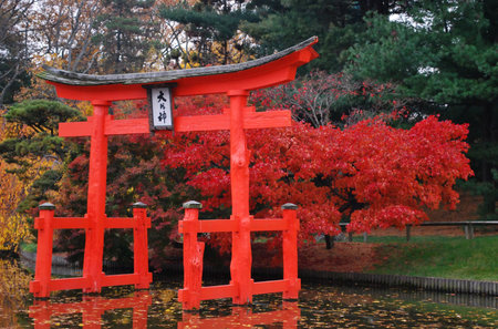 Bursts of Color in Fall Foliage Behind Red Ceremonial Gate in Traditional Japanese Landscape Brooklyn Botanic Garden New Yorkの写真素材