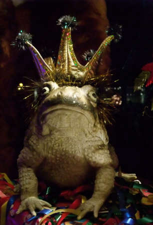 Fairy Tale Romance: Kiss the Frog, Perhaps He's the Princeの写真素材