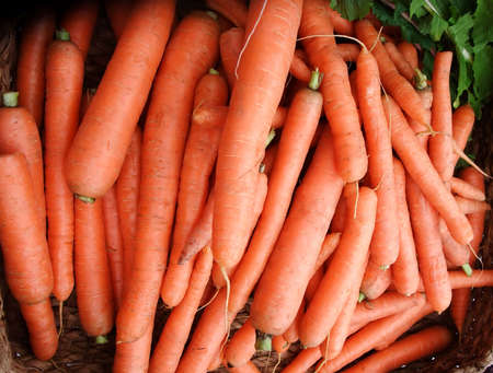 Display of Fresh Organic Carrots at Farmers Marketの写真素材
