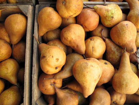 Boxes of organic Bosc pears for sale at farmers marketの写真素材