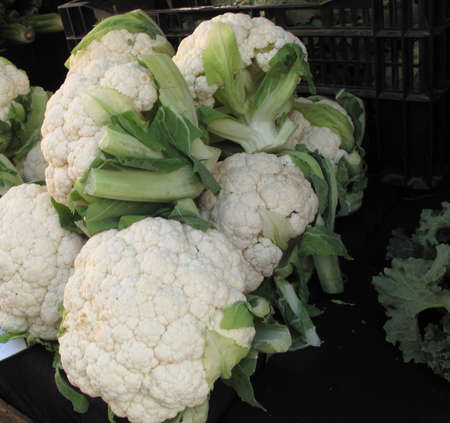 Boxes of organic cauliflower for sale at farmers marketの写真素材