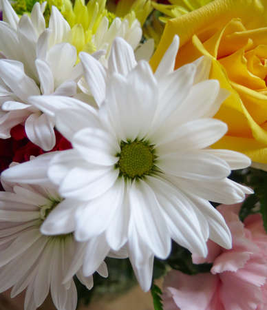 Fresh Colorful spring bouquet of roses and daisiesの写真素材
