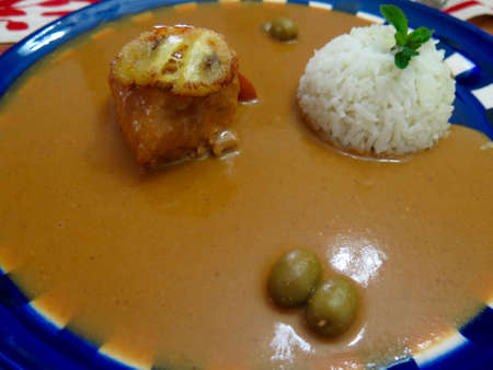 Traditional recipe from Oaxaca, Mexico of chicken with mole sauceの写真素材