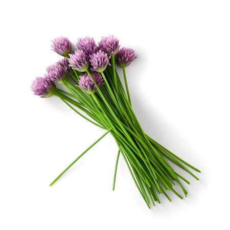 The photo features chives, a slender herb with green stalks, against a clean white background. The delicate chive leaves stand tall, showcasing their vibrant green color and mild onion-like aroma. This image captures the essence of chives, often used as a flavorful garnish and ingredient in various dishes. The photo invites viewers to appreciate the fresh and versatile nature of chives, inspiring culinary creativity and adding a touch of elegance to meals.の素材