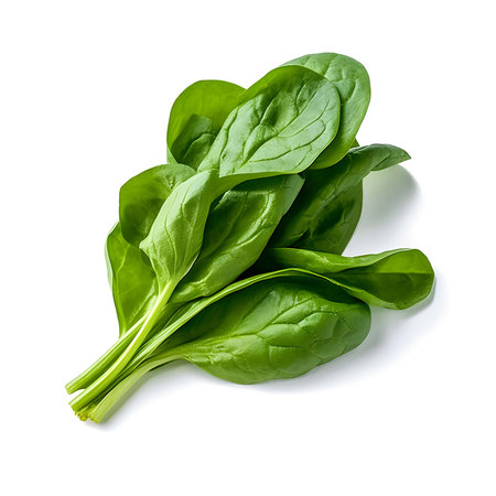The photo features fresh spinach leaves against a white background. The vibrant green color and tender texture of the spinach leaves are visually appealing. This image captures the essence of freshness and nutritional value, inspiring healthy eating choices and the use of spinach in a variety of dishes for its rich flavor and health benefits.の素材
