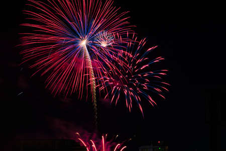 Fireworks pink and blueの写真素材
