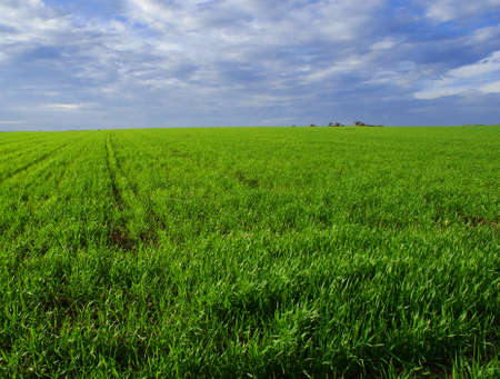 Beautiful green landscape with clouds on the blue sky 3の写真素材