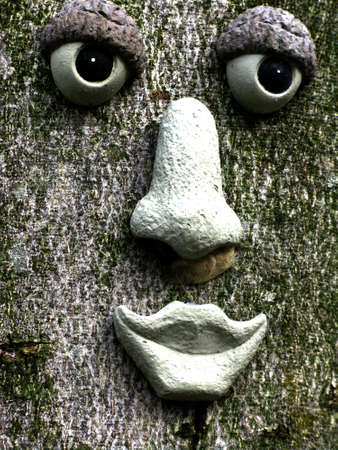 Face on a treeの写真素材