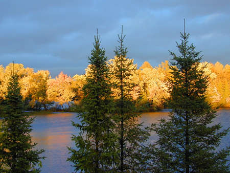 Golden sunlight on trees in middle of riverの写真素材