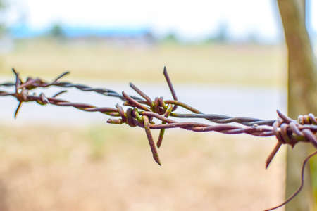 Close up old barbed wired with rusty.の写真素材
