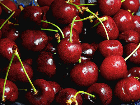 Cherry Macroの写真素材