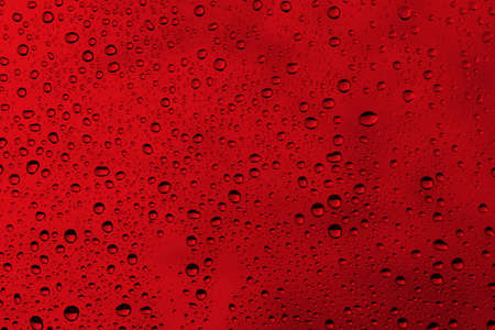 Water droplets on the red background for background usage, Valentine day, Valentine background, Red background.の写真素材