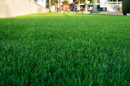 Green artificial grass in the park, natural background texture, Wallpaper and background.の写真素材