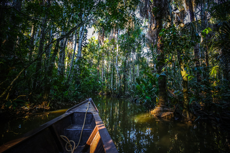 Boat on the Sandoval lake. Puerto Maldonado, Peru.の写真素材