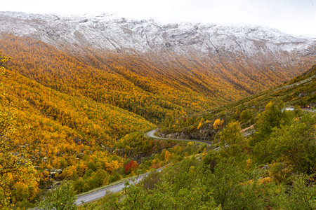 View of the autumn mountains covered with colorful trees.