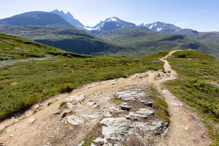 Path through the Norwegian mountains.