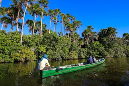 Boat on the Sandoval lake. Puerto Maldonado, Peru.の写真素材