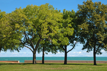 Park and Lake Viewの写真素材