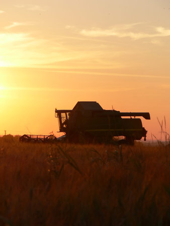 Combine harvester in evening lightの写真素材