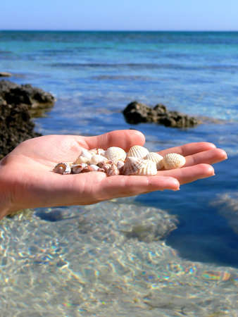 Sea shells in a womans hands in front of the sky and water of the mediterranean coastlineの写真素材