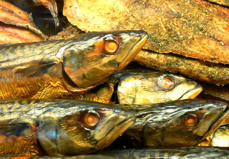 Freshly smoked fish in the village Kivik by the seaの写真素材