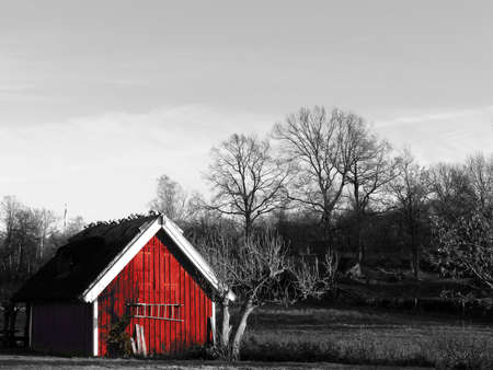 A small red house with straw roofing in southern part of Swedenの写真素材