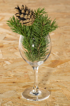 new year glass glass Christmas tree branches and conesの写真素材