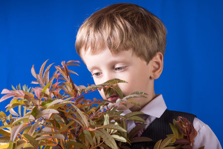 Portrait of the boy of the blonde with blue eyes with a bouquet in hands